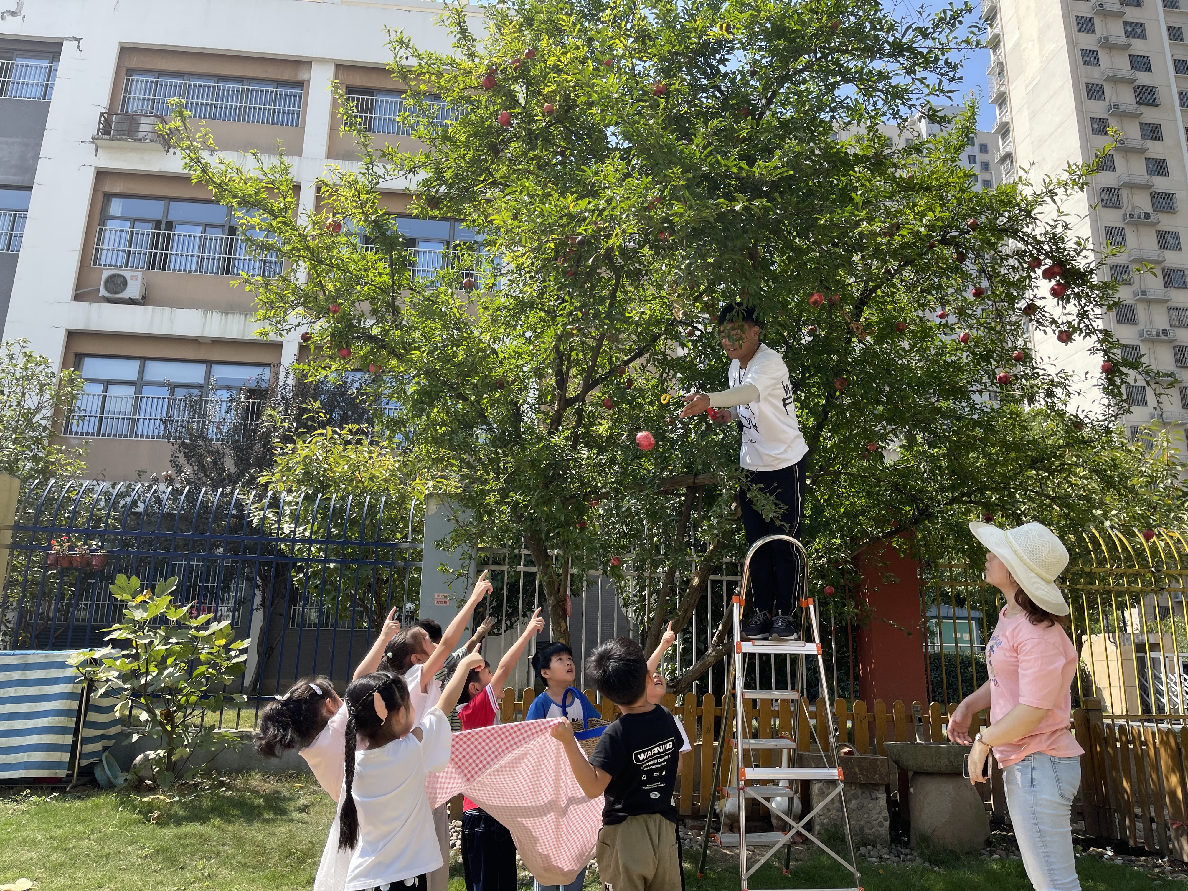 北岗花园幼儿园