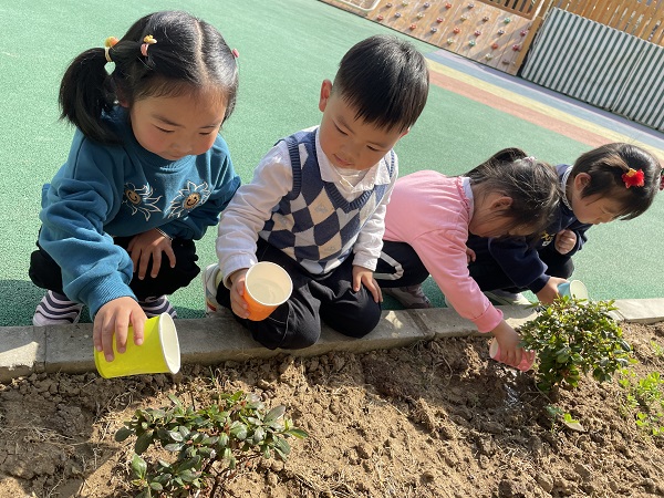 萧城路幼儿园春季种植活动