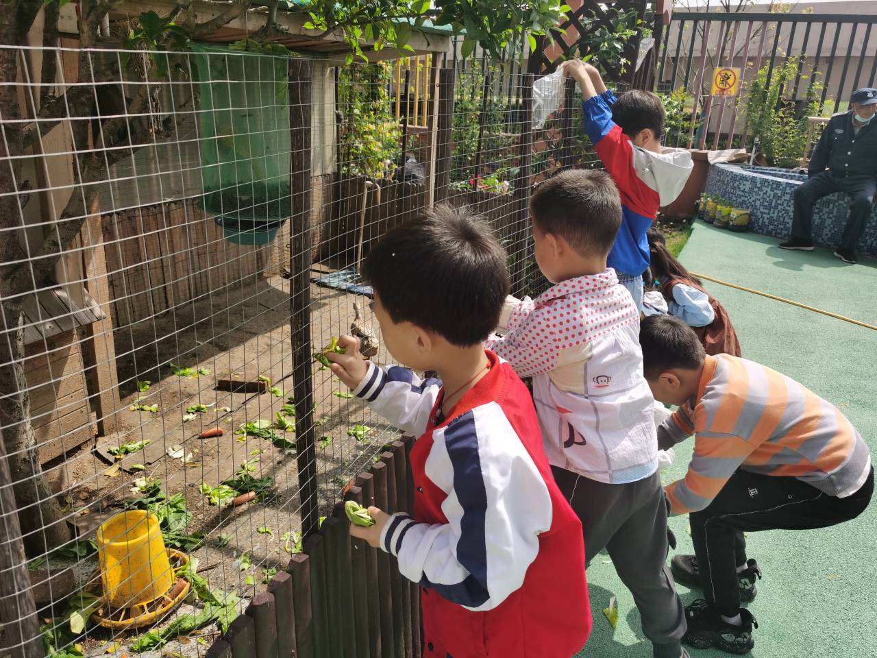 亲近动物欢乐无限安巢经开区实验幼儿园开展生命教育之饲养动物活动